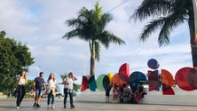 Imagem de Oitavo título de «Melhor ilha do mundo» surge num ano recorde para turismo na Madeira (vídeo)