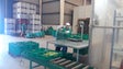 Imagem de Centro Hortofrutícola de Santana duplicou escoamento (Vídeo)