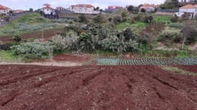 Imagem de Mais cursos em empreendedorismo agrícola