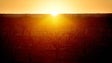 Imagem de Aquecimento global continuou a agravar-se em 2020