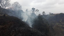Imagem de Incêndio na Ponta do Pargo foi dado como extinto esta tarde (Vídeo)