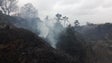 Imagem de Incêndio na Ponta do Pargo foi dado como extinto esta tarde (Vídeo)