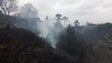 Incêndio na Ponta do Pargo foi dado como extinto esta tarde (Vídeo)