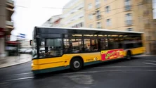 Imagem de JMJ: Carris aumenta oferta consoante programa e reforça apoio ao cliente