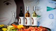 Imagem de Dolores Aveiro lança marca de vinhos e azeite