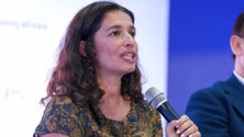 Imagem de Partido Socialista critica falta de visão integrada para a produção de fruta (áudio)