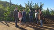 Imagem de Orçamento Regional assume a agricultura como investimento, diz PSD