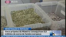 Imagem de Projetos madeirenses captam 5,5 milhões de fundos europeus (Vídeo)