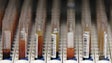 Imagem de Madeira regista cerca de 100 novos casos de cancro no intestino por ano
