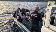 Imagem de Polícia Marítima apreende 90 quilos de pescado ao largo de São Miguel