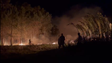 Imagem de Fogo na Calheta coloca habitações em risco (vídeo)