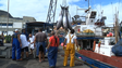 Quota de atum patudo quase esgotada (vídeo)