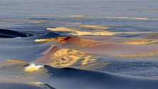 Imagem de Observatório Oceânico investiga a influência do relevo da ilha nas correntes
