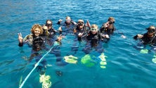 Imagem de Mergulho no Porto Santo atrai cada vez mais turistas