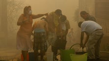 Imagem de Funchal promove ATL de verão sobre prevenção de incêndios