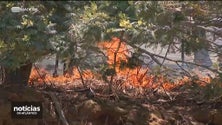 Imagem de Porto Santo integra POCIR pela primeira vez (vídeo)