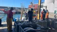 Imagem de Comunicação dos níveis da cota de pesca do atum serão feitas semanalmente (áudio)