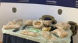 Mulher de 55 anos detida no Aeroporto da Madeira na posse de 10kg de heroína (Vídeo)