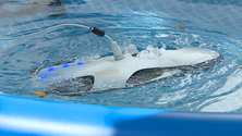Imagem de Formação em tecnologias marinhas (vídeo)