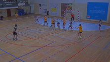 Imagem de Clube Sports Madeira derrotado pelo Benfica (vídeo)