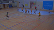 Imagem de Clube Sports Madeira derrotado pelo Benfica (vídeo)