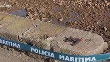 Imagem de Tecnovia lança inquérito para apurar a causa do acidente na Graciosa (Vídeo)