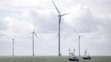 Imagem de Energias renováveis ultrapassam combustíveis fósseis