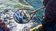 Imagem de Portugal e Espanha apresentaram plano conjunto para pesca