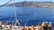 Imagem de Investigadores alertam para pressão sobre baleias e golfinhos
