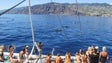 Investigadores alertam para pressão sobre baleias e golfinhos