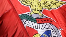 Imagem de SAD do Benfica lança novo empréstimo obrigacionista de 40 milhões de euros