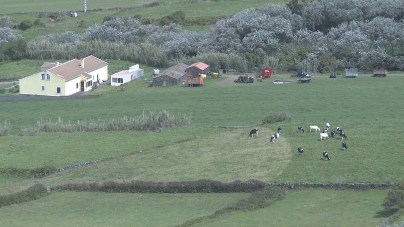 Imagem de Desafio à Graciosa