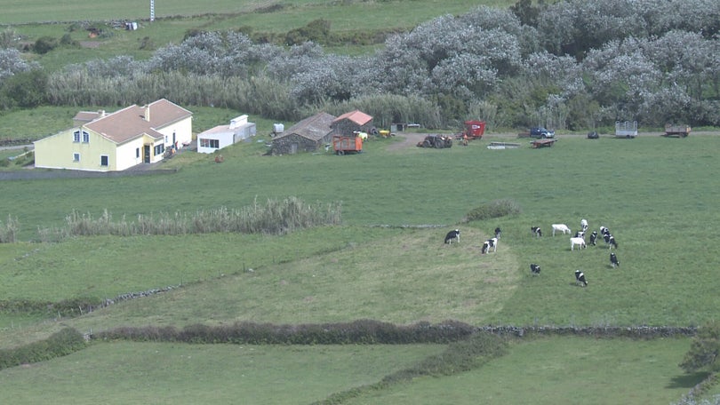 Desafio à Graciosa