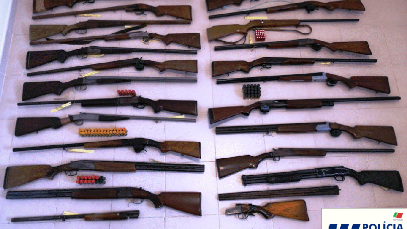 PSP apreende armas em São Jorge