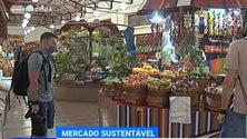 Imagem de Funchal investe 500 mil euros na estratégia de sustentabilidade do Mercado dos Lavradores (Vídeo)