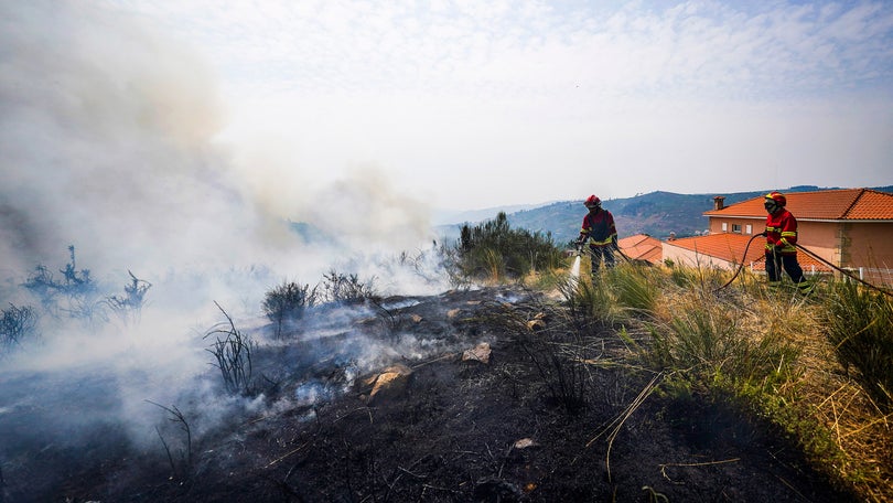 Ex-presidente observatório técnico considera dimensão dos incêndios previsível