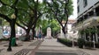 Imagem de Funchal nomeado para Melhor Destino Europeu na categoria Turismo Sustentável em 2022