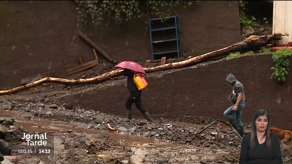 Derrocada na Madeira. Encosta no Curral das Freiras está a ser limpa