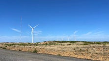 Imagem de Madeira tem potencial para crescer ainda mais no que diz respeito à energia eólica (vídeo)