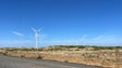 Imagem de Madeira tem potencial para crescer ainda mais no que diz respeito à energia eólica (vídeo)