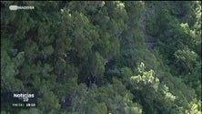 Imagem de «Grande Rota» atravessa a ilha de uma ponta a outra (vídeo)