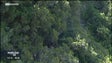 Imagem de «Grande Rota» atravessa a ilha de uma ponta a outra (vídeo)