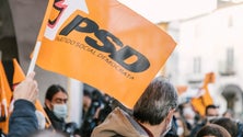 Imagem de Militantes do PSD escolhem 19.º presidente