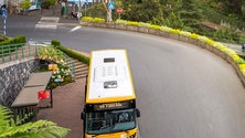 Horários do Funchal realiza serviço extraordinário de transporte para o Monte (áudio)