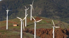 Imagem de Concurso público para a instalação de duas novas torres eólicas no Porto Santo (áudio)