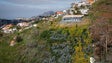 Governo já limpou 350 hectares de terrenos no Funchal