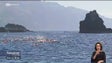 Imagem de Final europeia do circuito mundial de natação em águas abertas realiza-se na Madeira (vídeo)