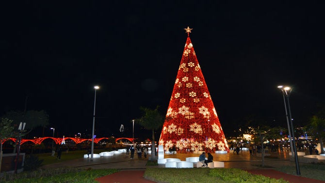 Funchal iluminado por 1,6 milhões de lâmpadas no Natal e fim de ano