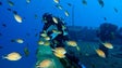 Ministro do Mar participa em expedição de mergulho científico no Porto Santo (Áudio)
