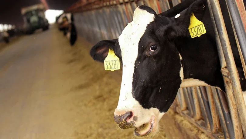 Imagem de CAP diz que IFAP não atualizou prazo para apoio destinado a agricultores